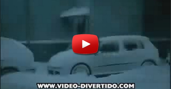 Carro Congelado